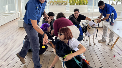 The San Jose chapter organized a therapy dog event to promote mental health and well-being